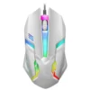 Compact Wireless RGB Gaming Mouse - 1 Pcs